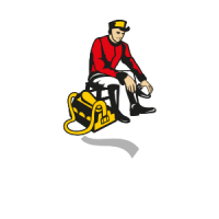 belerto-logo-1